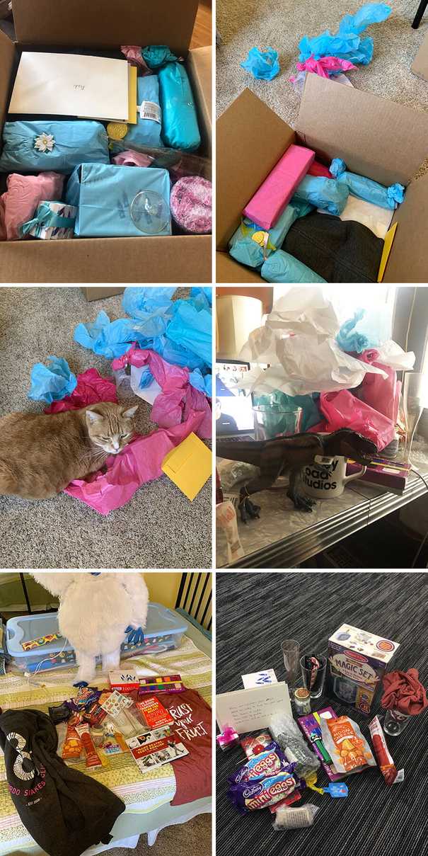 cardboard boxes filled with tissue-wrapped gifts; a cat with unwrapped tissue paper; a haul of gifts.